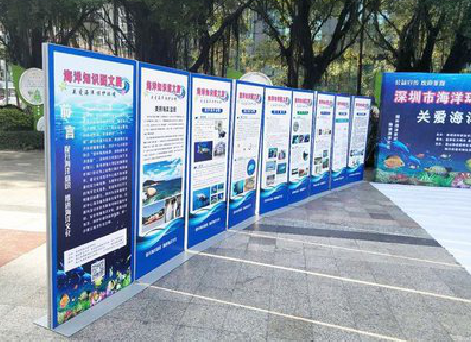 长顺KT板的种类和知识。